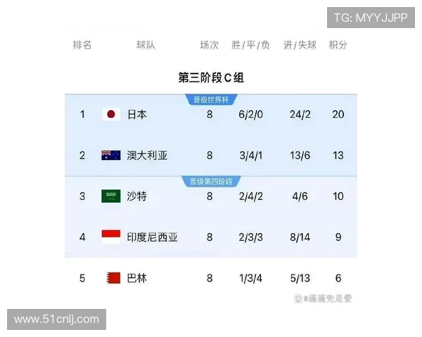 历年沙特职业联赛积分榜回顾与变化分析